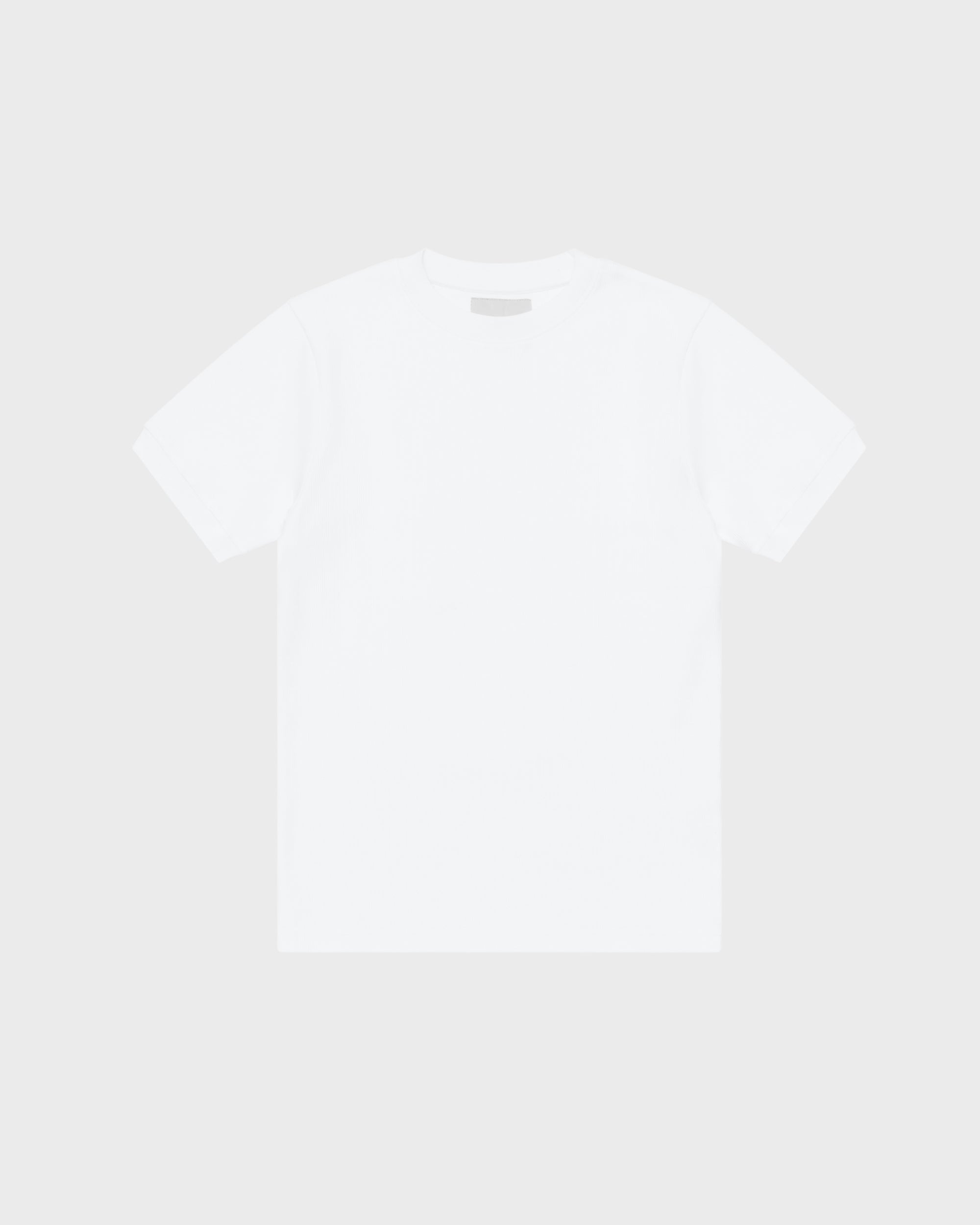 FITTED T-SHIRT - WHT