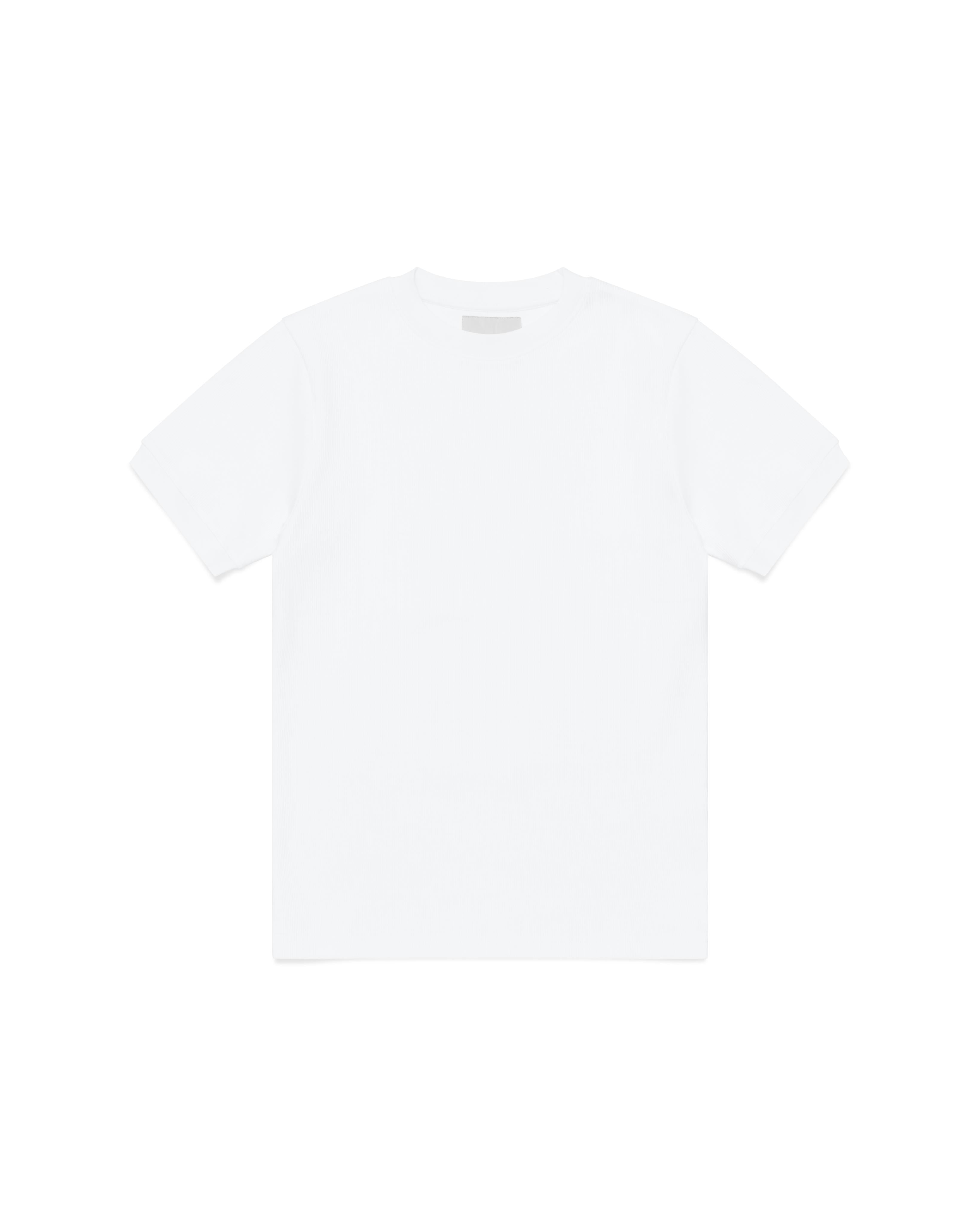 FITTED T-SHIRT - WHT